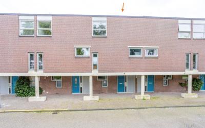 Pollux 66