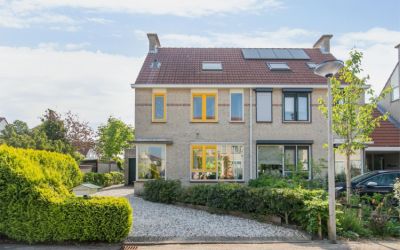 Zwanebloems. 13