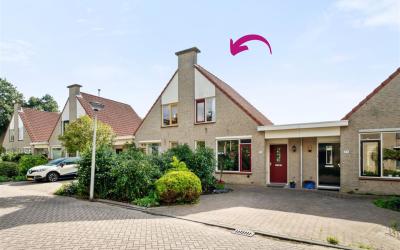 Pijlkruidst. 35
