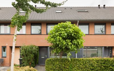 Steenbreekvaren 58