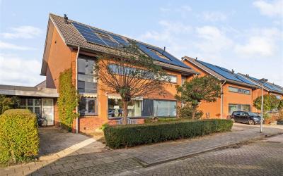 Struisvaren 19