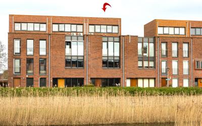 Lelietuin 7