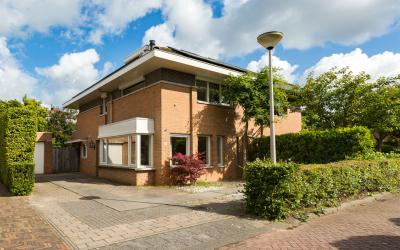 Primulatuin 4
