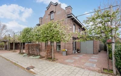 Rijnsburger. 112