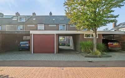 Vuurdoorn 43