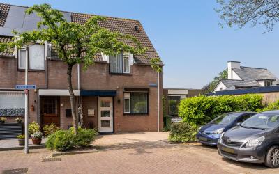 Zwanebloem 2