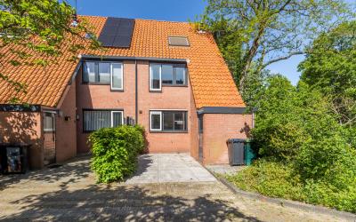 Paardenbloem 23