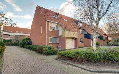 Boterbloem 14