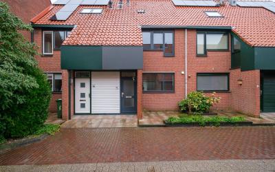 Boterbloem 20