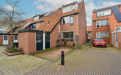 Boterbloem 9