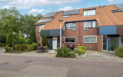 Hoefblad 3