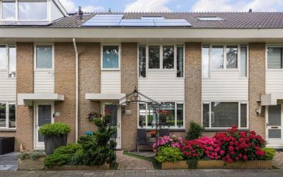 Groen van P. 15