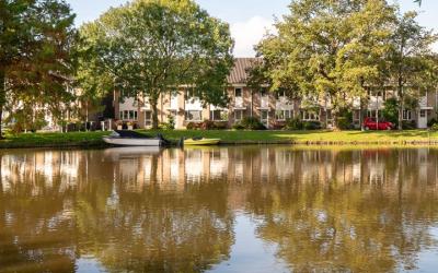 Groen van P. 17