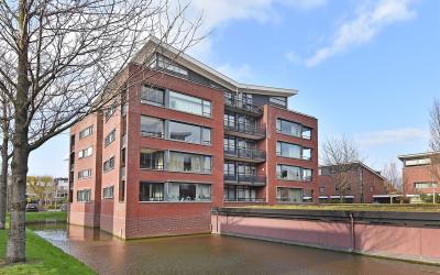 Arendshorst 55
