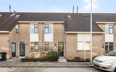 Hohorst 20
