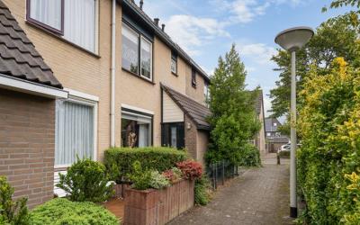 Schelfhout 30
