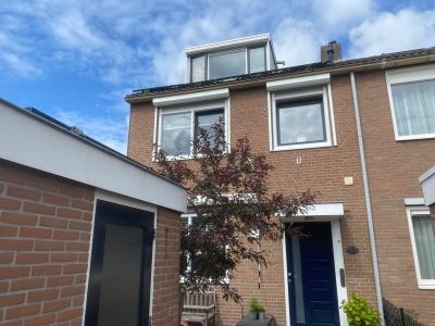 Robijn 11