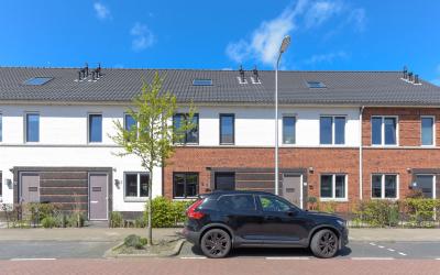 Kleine vos 17
