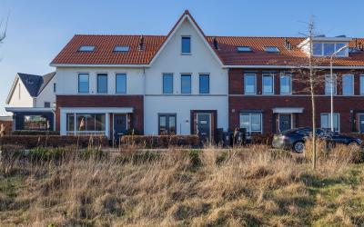 Icarusblauw. 3