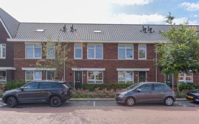 Grote vos 39