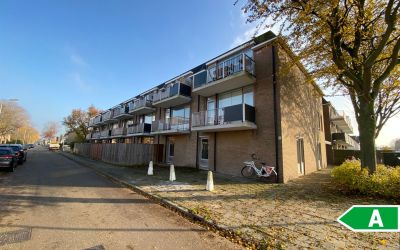Sanne van H. 11