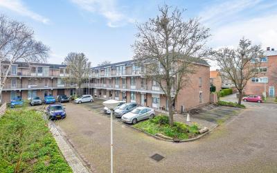 Sanne van H. 4