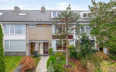 Willemstraat 13