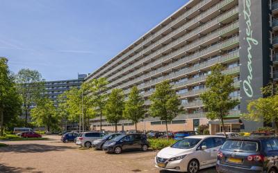 Stadhouders. 32