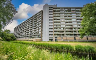 Stadhouders. 232