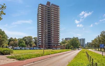 Dunantstraat 1217