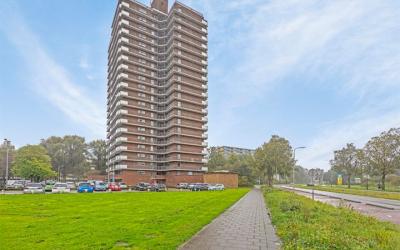 Dunantstraat 1245