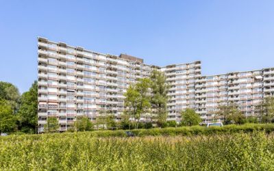 Jonkerbos 235