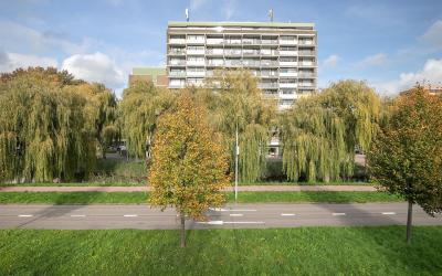 Eesterwaard 80