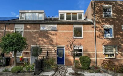 Geel-groenl. 101