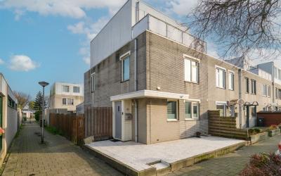Meloengeel 28
