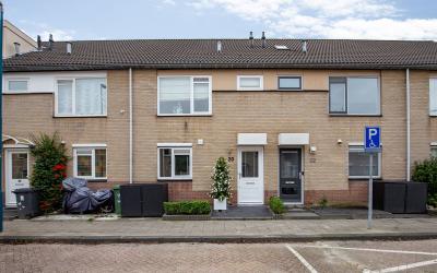 Bladgroen 20