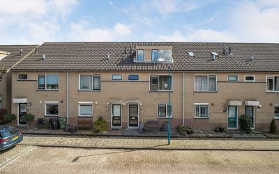 Bladgroen 50