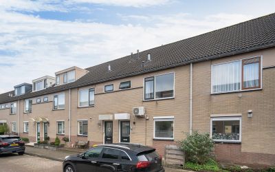 Bladgroen 66