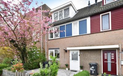 Groen-blauw. 56