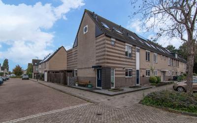 Goudenregen. 17