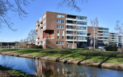 Merbauhout 15
