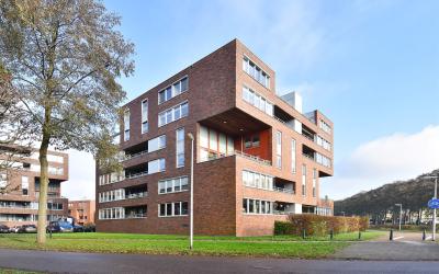 Merbauhout 25