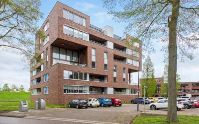 Mahoniehout 39