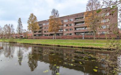Essehout 182