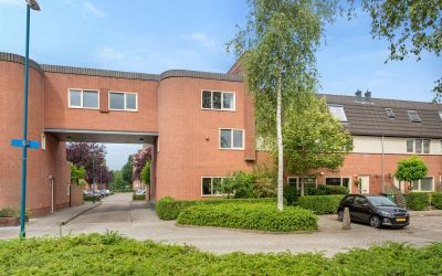 Bodohout 47
