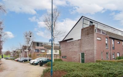 Bodohout 12
