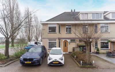 Tijgeroog 9