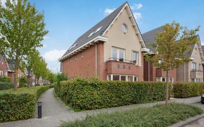 Sint Helena 16