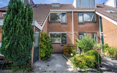 Moerbeigaar. 33