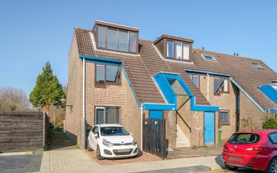 Moerbeigaar. 4